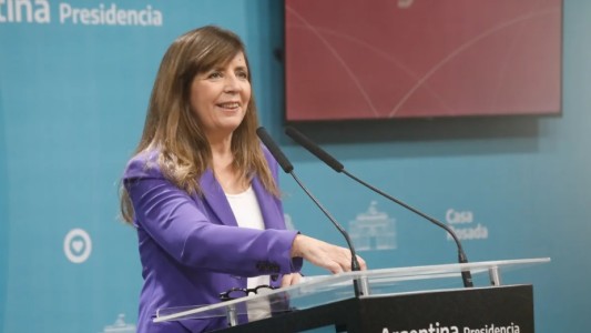 El Gobierno insistió en que "no hay ningún cepo ni restricción a las importaciones"