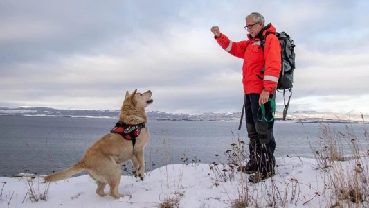 Un perro salvó a un esquiador en Ushuaia