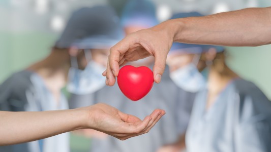 Cudaio realiza actividades para promover la donación de órganos