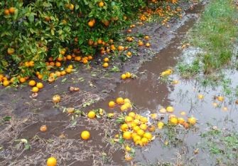 Entre Ríos: una histórica tormenta de granizo destrozó viviendas e hizo perder cosechas