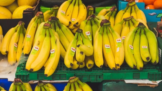 Afirman que podrían escasear las bananas la próxima semana
