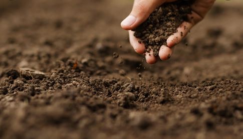 La humanidad ya consumió la producción sustentable anual y "vivirá de prestado" el resto de 2022