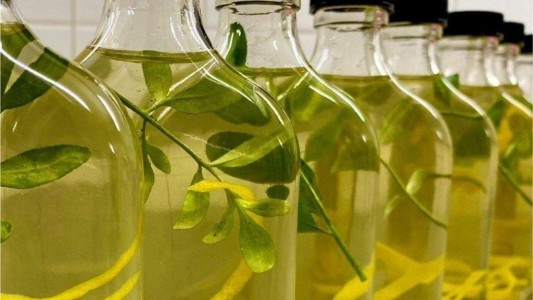 Llega agosto con la tradicional Caña con Ruda