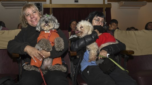 Realizaron en Escobar la primera función de cine para perros de Sudamérica