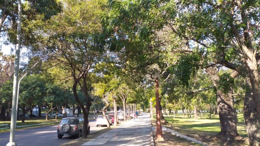 Sábado fresco y con buen clima en la capital provincial
