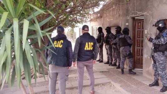 Secuestran armas, drogas, dinero y un mono carayá en múltiples allanamientos