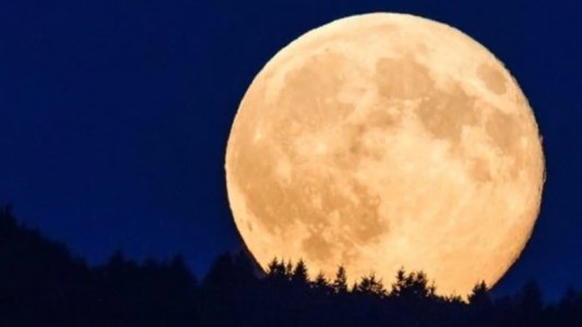 La última Superluna del año: cuándo podrá verse en Argentina