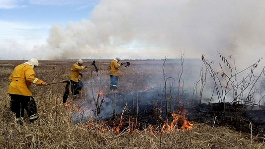 Detuvieron a otra persona por intentar prender fuego en las islas del Paraná