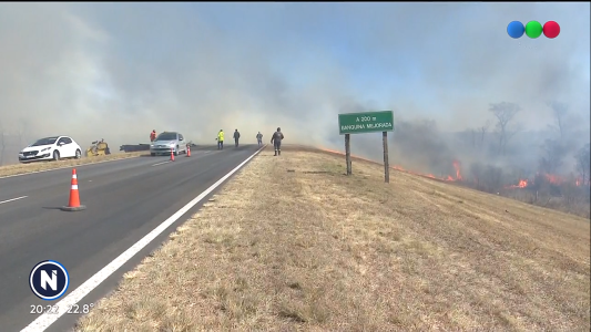 Impulsan programa para proteger a los animales que huyen de los incendios