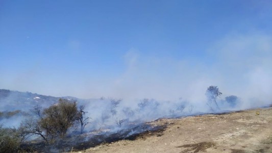 Hizo una fogata para comer y generó un incendio forestal: detenido en Córdoba