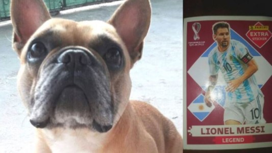 Un niño ofrece su figurita de Lionel Messi para recuperar el perro robado de su amiga