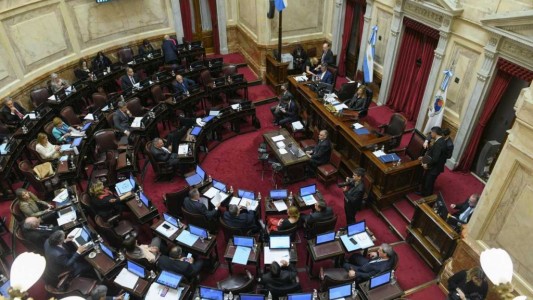 El Senado repudió el ataque contra Cristina Kirchner