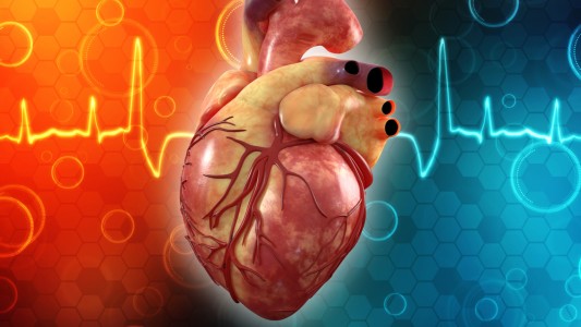 Mes del corazón: la Fundación por las Cardiopatías Congénitas desarrollará varias actividades