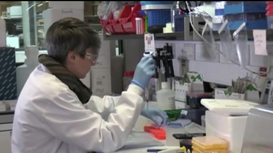 Aumentan los casos de la viruela del mono