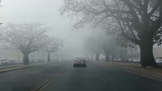 “No se ve el sol”, un padre desolado por los incendios en Rosario.