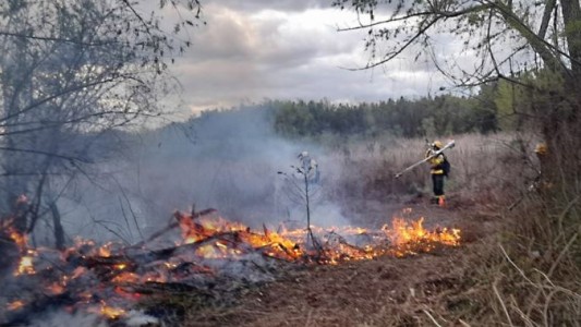 Incendios en las islas: Intendentes santafesinos protestarán en el Obelisco