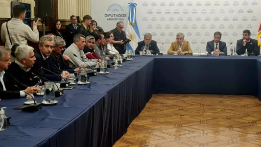 Mirabella sobre los incendios: “Queremos que el Ejército se quede hasta el 2023”