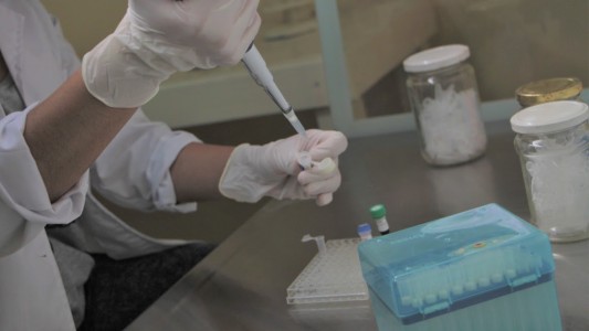 Control y Erradicación de Tuberculosis Bovina:  Avanza la vigilancia epidemiológica de muestras de leche