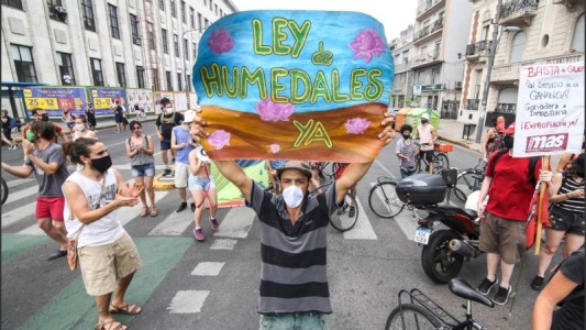 El Congreso comienza a debatir la ley de Humedales