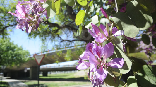 Empieza un fin de semana primaveral con sol a pleno en Santa Fe