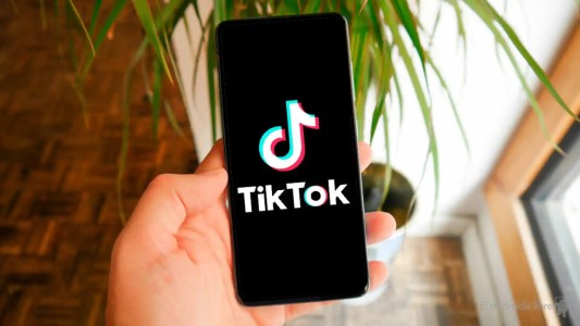 TikTok lanzó un botón de “no me gusta”