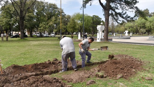 Parque Garay: La Municipalidad coloca 30 nuevas columnas de iluminación