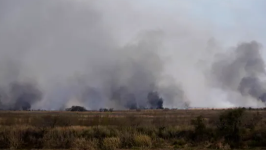Malestar de ambientalistas al no tratarse la Ley de Humedales