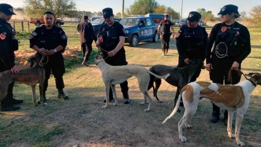 Imputaron al organizador de las carreras clandestinas de galgos