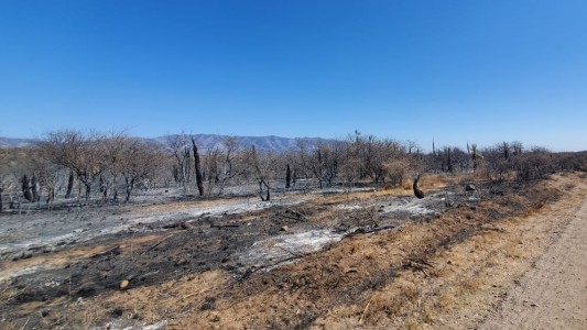Murió un menor de edad que intentaba apagar un incendio forestal en Calamuchita