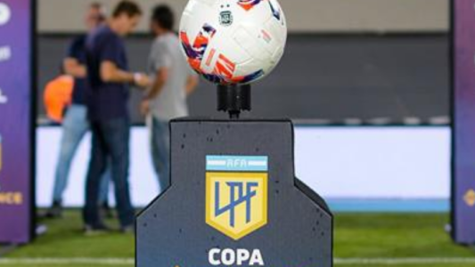 La Liga Profesional arrancará a fines de enero y habrá tres descensos