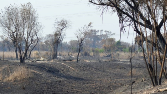 Diputados retoman el debate por la Ley de Humedales