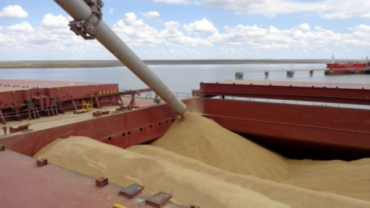 Postergan las exportaciones de trigo para garantizar el abastecimiento