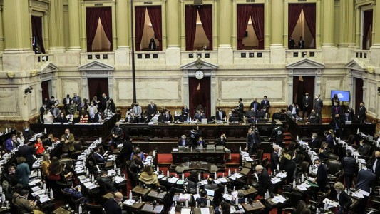 El Registro Nacional de Deudores Alimentarios se debate de Diputados