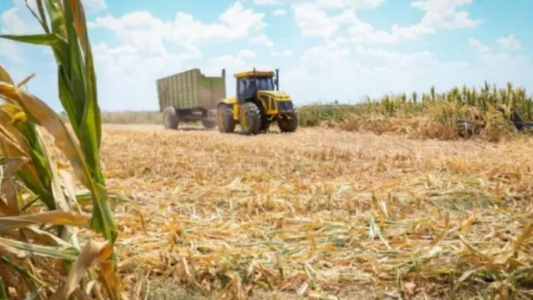 Por la sequía, piden que declaren a Santa Fe en estado de "emergencia y desastre"