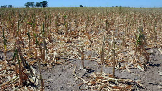 Alarmante: Estiman que el 55% del país se encuentra bajo los efectos de la sequía