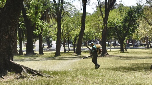 Trabajos de fumigación, iluminación y bacheo previstos para este viernes