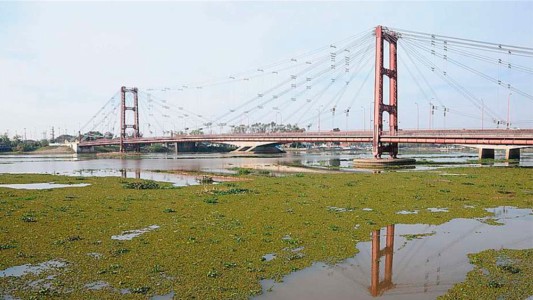 Prefectura anunció que no removerá el camalotal de la laguna Setúbal