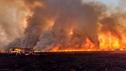 Incendios: Nación crea unidad para prevención de delitos ambientales