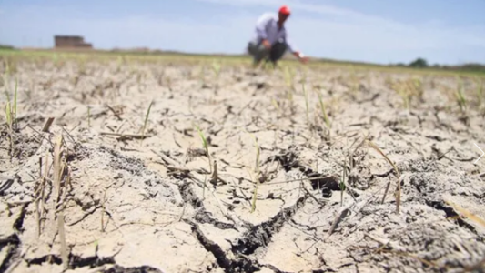 Sequía: Llega a la provincia el secretario de agricultura para entregar fondos