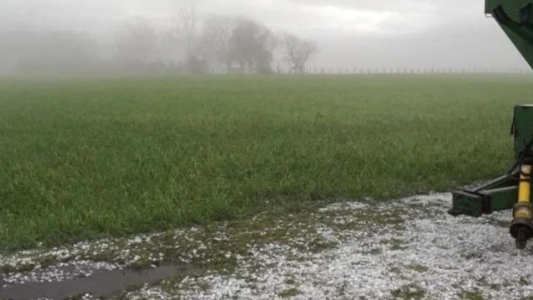 ¿Cuándo llega la lluvia?: El INTA espera tres eventos en los próximos 14 días
