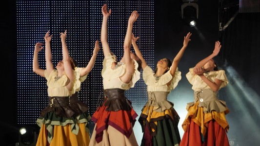 La provincia tendrá una delegación en la Fiesta Nacional del Chamamé