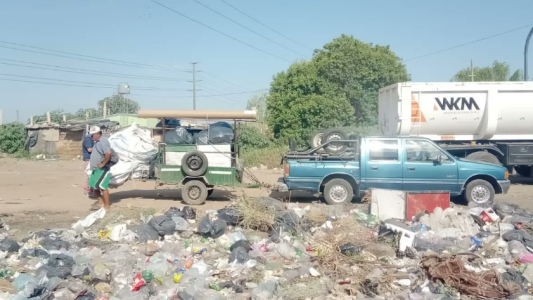 Multan a empresas por generar microbasurales en la ciudad y analizan clausuras