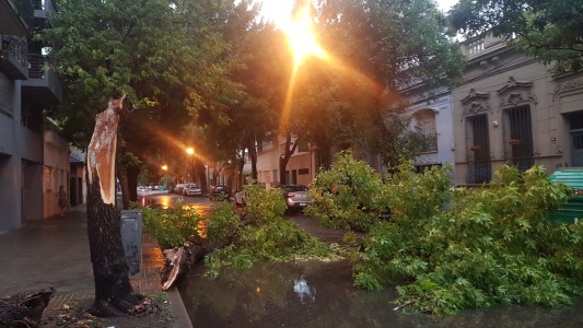 Después del calor, fuerte temporal en Rosario: granizo, árboles caídos y calles anegadas