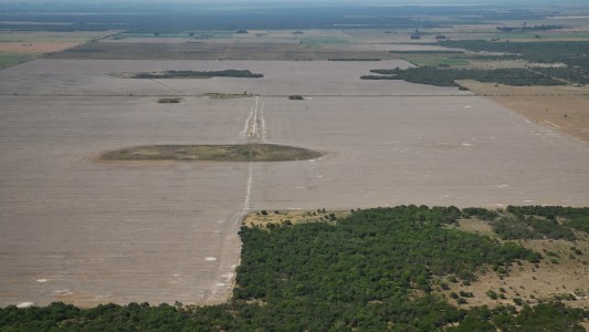 La provincia destina $700 millones para dar créditos a productores afectados por la sequía
