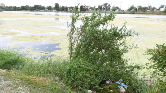 Mañana habrá una jornada de limpieza en el lago del Parque del Sur