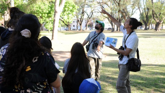 Invitan a un Safari de verano en el Jardín Botánico