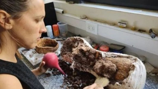 Mar del Plata: Caminaban por la playa y encontraron un gliptodonte de 5 millones de años