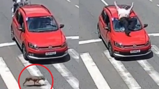 ¿Quién tiene la culpa? El accidente de tránsito viral que generó una discusión en redes