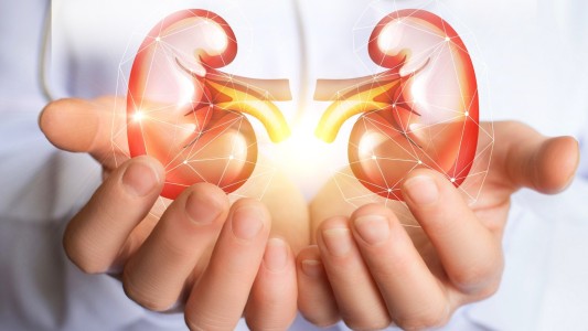 Día del riñón: cómo controlar la salud renal y prevenir enfermedades
