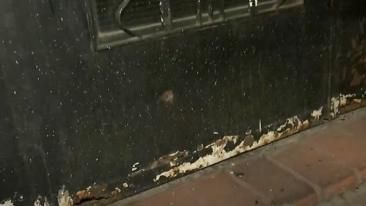 La gendarmería no detiene las balaceras en Rosario: un herido tras un tiroteo